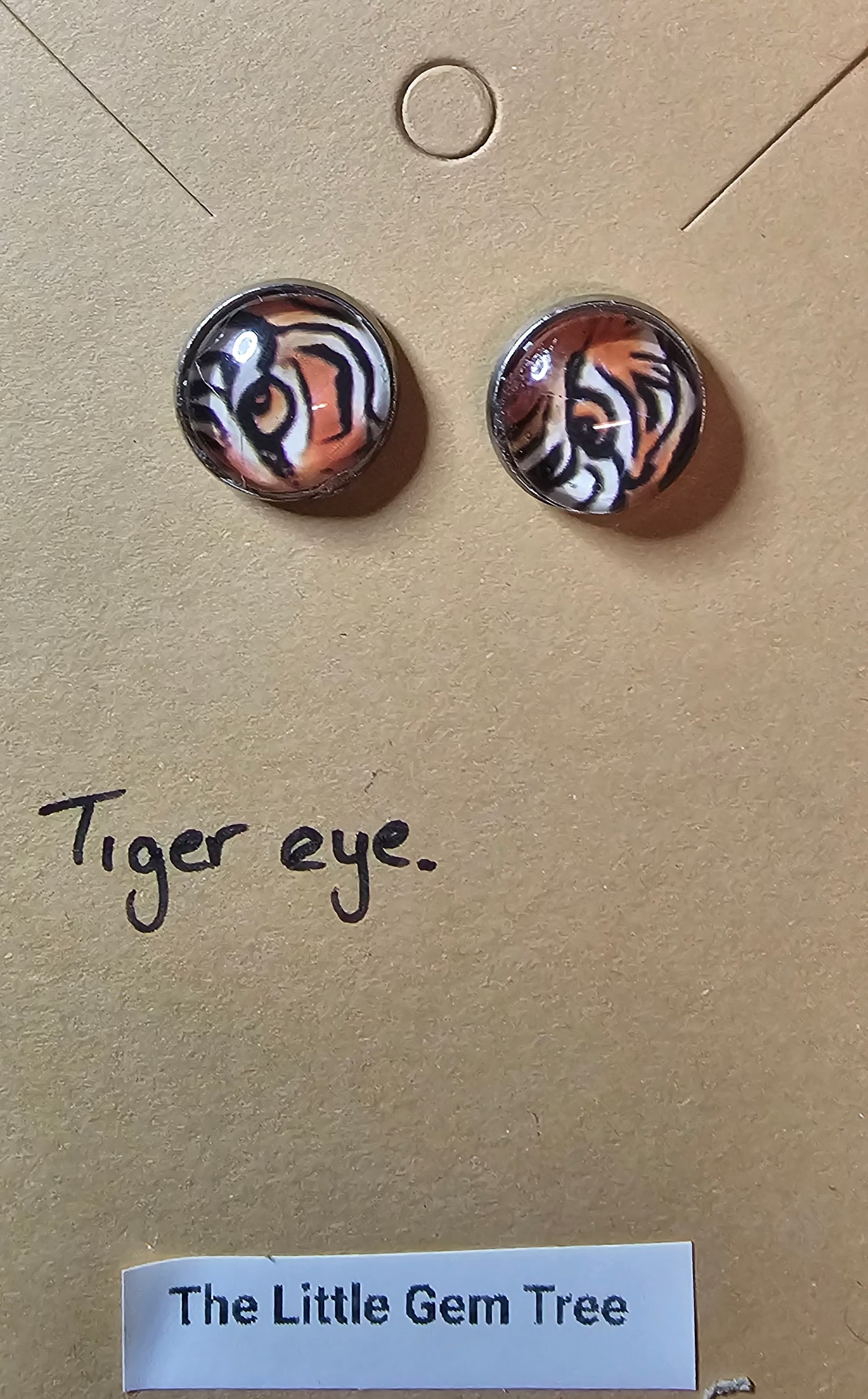 studded earrings collection